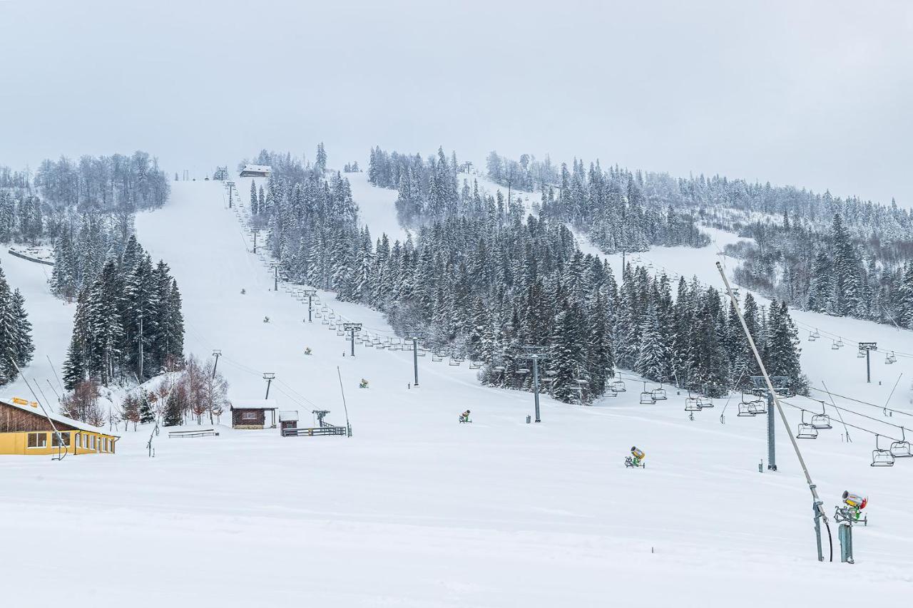 Карпатська Ружа Plave Exterior foto